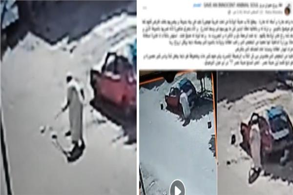 التعدى على الكلاب الصغيرة