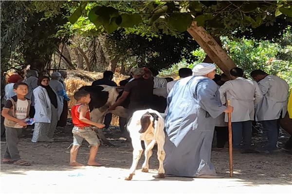 قافلة بيطرية