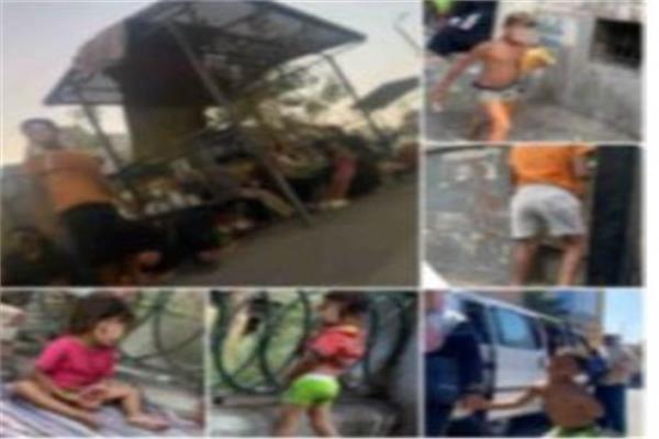 متداولة لأطفال يتسولون بمحيط مستشفى بالقاهرة