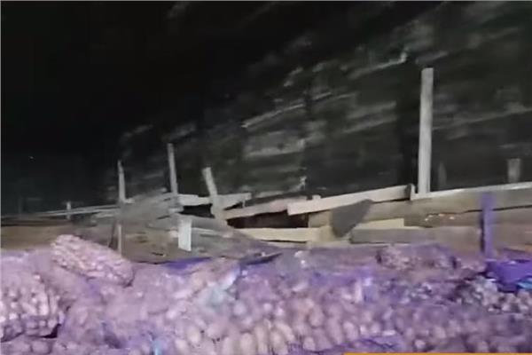 بطاطس