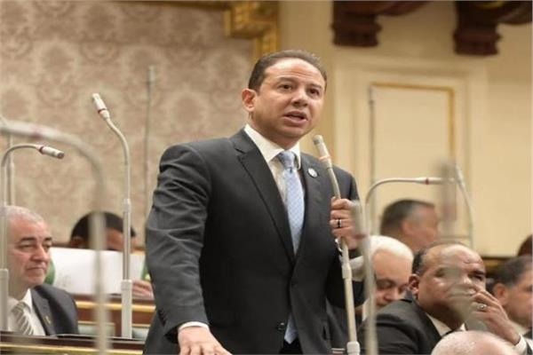 النائب حسن عمار