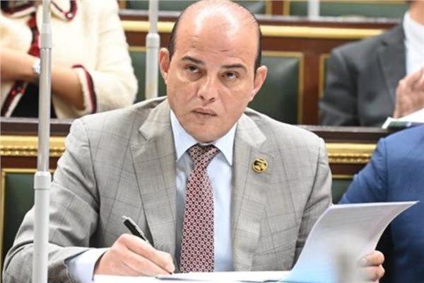 النائب عمرو القطامي