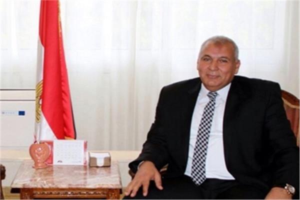  محافظ الوادي الجديد محمد الزملوط