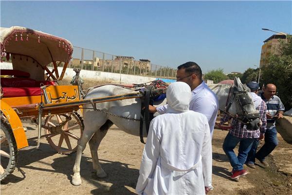 الحملة القومية الثانية للحفاظ على الثروة الحيوانية