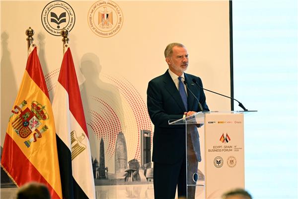  الملك فيليبي السادس، ملك إسبانيا
