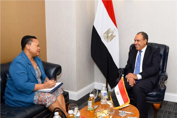 وزير الخارجية خلال لقاء المديرة التنفيذية للآلية الإفريقية
