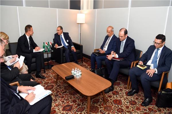 وزير الخارجية والهجرة وشئون المصريين بالخارج