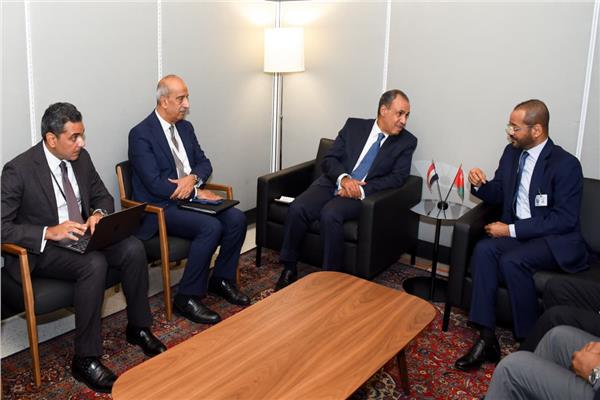 وزير الخارجية والهجرة وشئون المصريين بالخارج