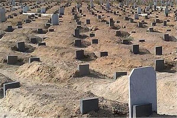 صورة موضوعية