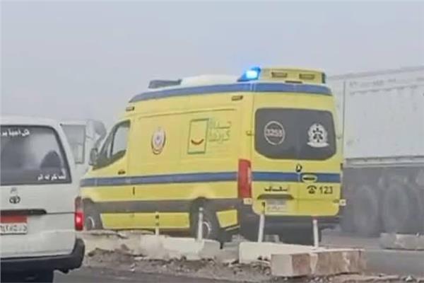 ارشيفيه