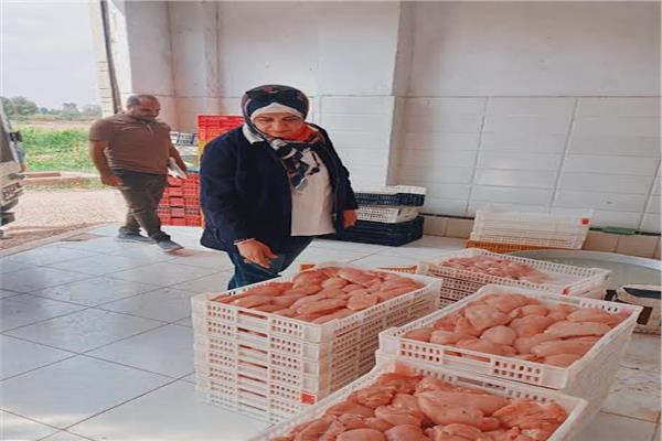 لحوم و دواجن مجهولة المصدر بالشرقية      