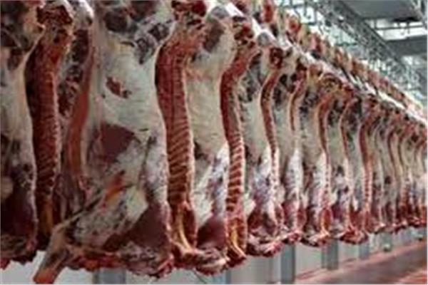 أسعار اللحوم اليوم الخميس