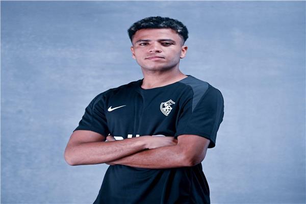 أحمد ربيع