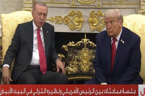 دونالد ترامب ونظيره التركي رجب طيب أردوغان