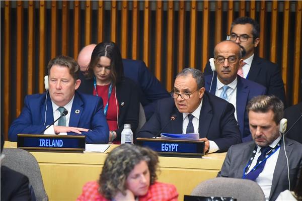  د بدر عبد العاطي وزير الخارجية والهجرة وشئون المصريين بالخارج