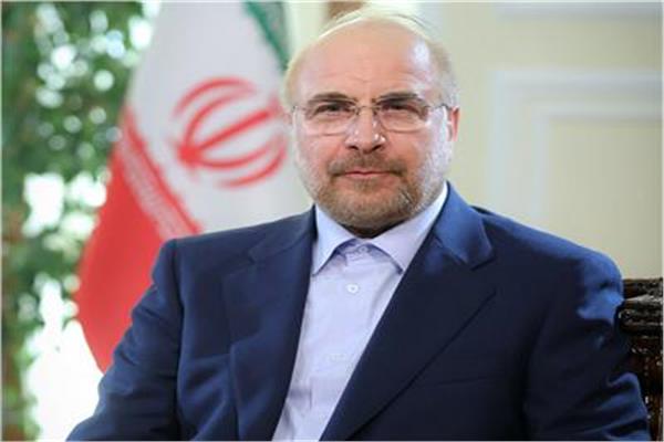 رئيس البرلمان الإيراني محمد باقر