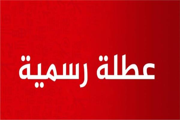 صورة موضوعية