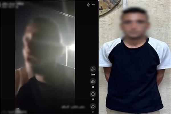 موضوعية
