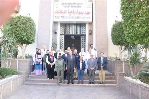صورة موضوعية