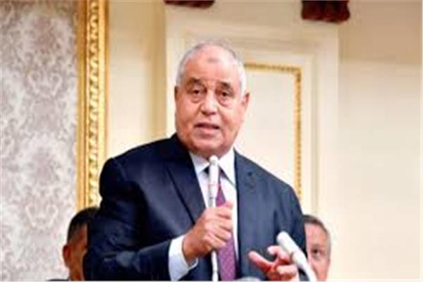 النائب ابراهيم نظير عضو لجنة الخطة والموازنة بمجلس النواب