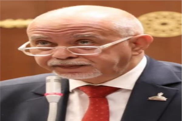 النائب المهندس حازم الجندي، عضو مجلس الشيوخ