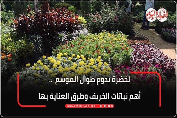 ركن نباتات الخريف 