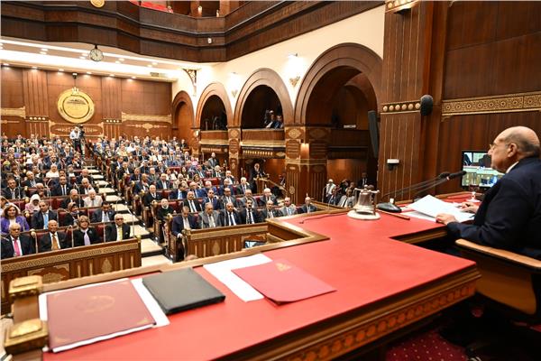 عبد الوهاب عبد الرازق رئيس مجلس الشيوخ  خلال الجلسة