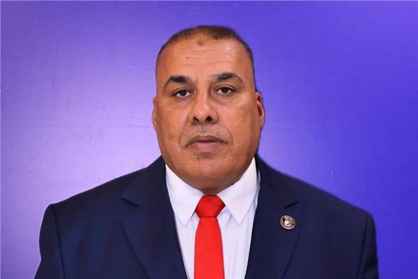 النائب محمد عبدالعال أبو النصر عضو مجلس الشيوخ
