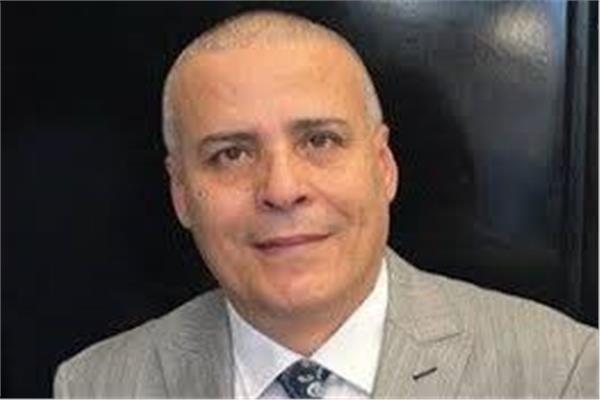 عماد قناوي رئيس شعبة المستوردين