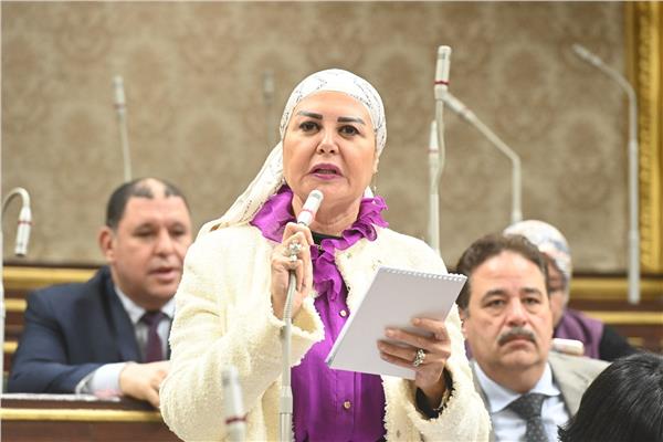 النائبة أمل سلامة عضو مجلس النواب