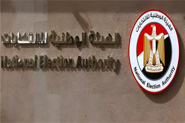 الهيئة الوطنية للانتخابات