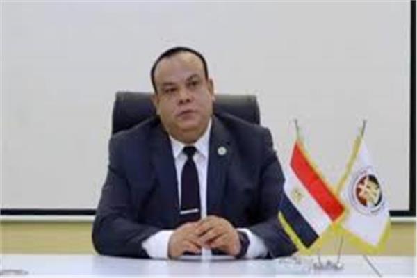 الهيئة الوطنية للانتخابات برئاسة القاضي حازم بدوي