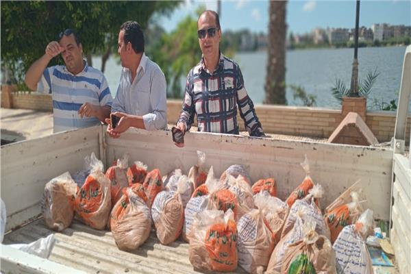 تموين كفر الشيخ يحرر 65 محضرًا للمخابز ويضبط سلعًا منتهية الصلاحية بعدد من المدن