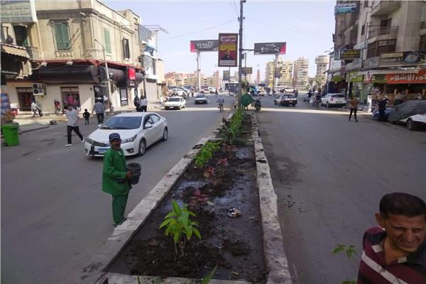  أعمال تشجير وتجميل بمحور الشعراوي 