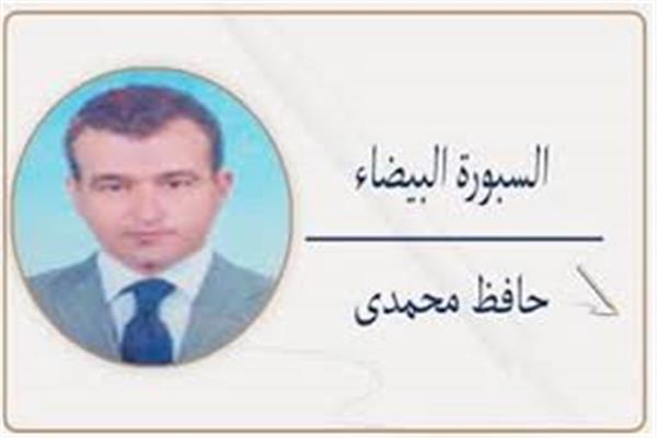 حافظ محمدى