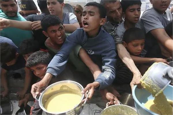 المجاعة في غزة