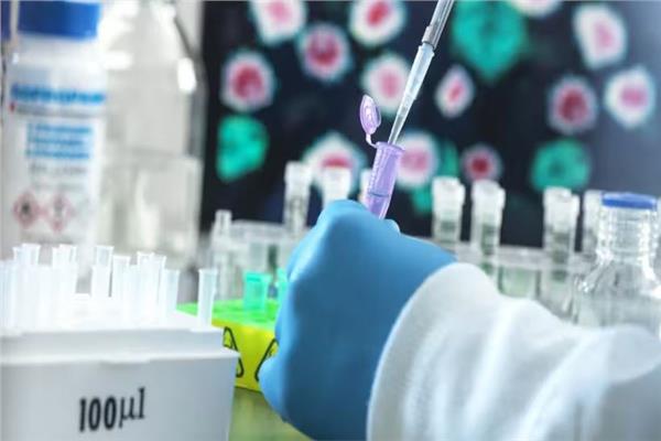 صورة موضوعية