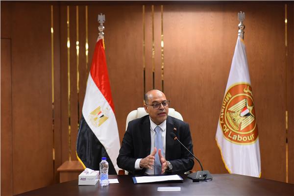 وزير العمل: مركز تدريب ومبادرة لتقنين أوضاع العمالة الأجنبية بشق الثعبان