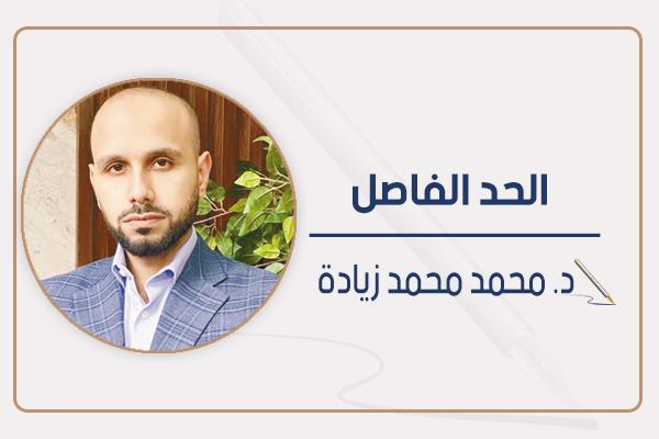 د. محمد محمد زيادة
