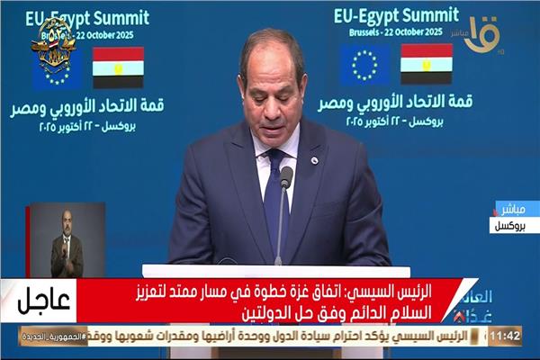  الرئيس السيسي