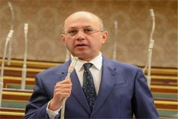 النائب الدكتور هشام حسين عضو مجلس النواب