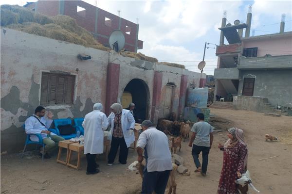 قوافل جامعة قناة السويس تتوجه إلى قرية أم عزام بمركز القصاصين لتقديم خدمات طبية وبيطرية 