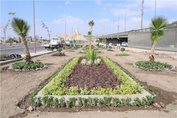 إنطلاق فعاليات المبادرة الرئاسية لزراعة 100 مليون شجرة