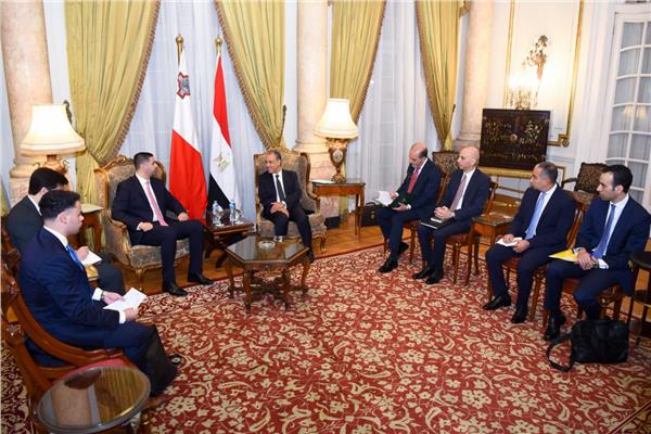 وزير الخارجية يلتقي نائب رئيس الوزراء ووزير الخارجية والسياحة بجمهورية مالطا