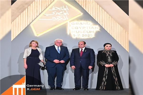 الرئيس السيسي مع الرئيس الألماني
