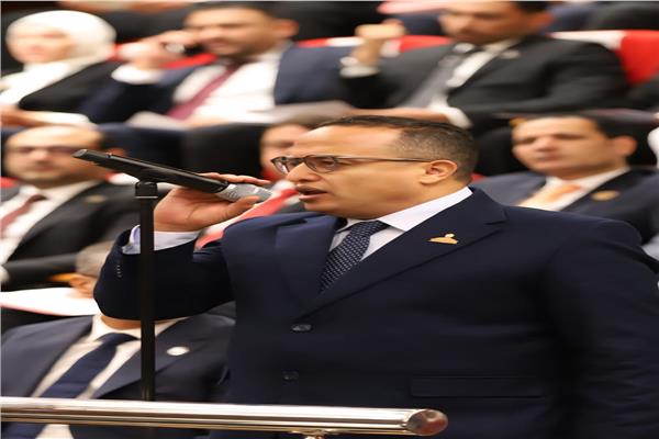 النائب أحمد الفار عضو مجلس الشيوخ