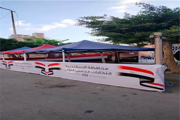 الاستعدادات انتخابات مجلس النواب بالإسكندرية 