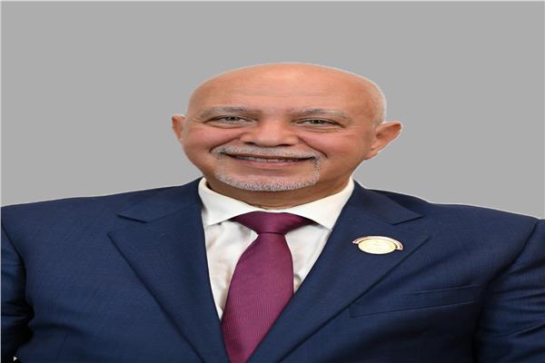 النائب المهندس حازم الجندي، عضو مجلس الشيوخ