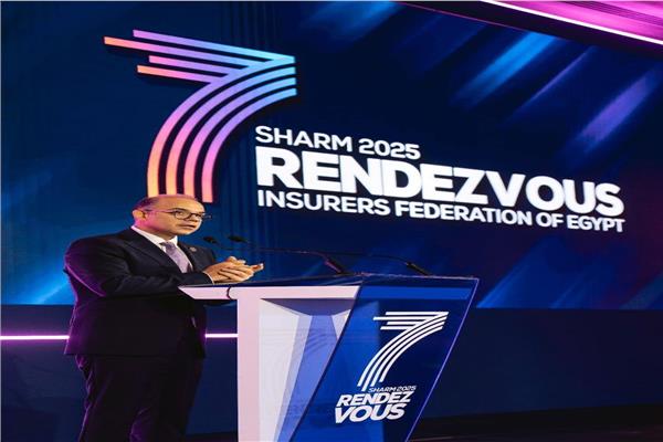 الدكتور محمد فريد رئيس الهيئة العامة للرقابة المالية