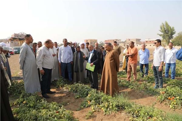 صورة موضوعية